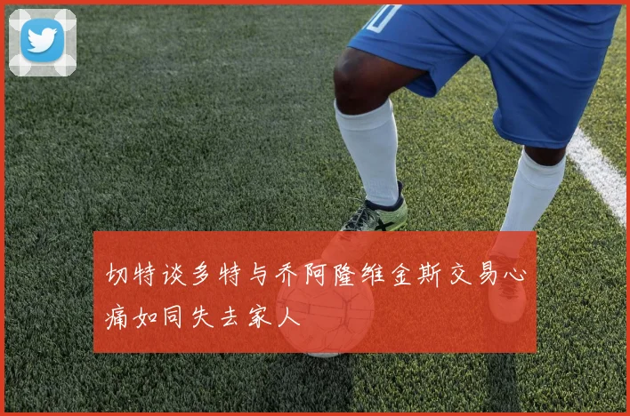切特谈多特与乔阿隆维金斯交易心痛如同失去家人